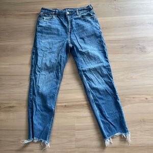 American Eagle Outfitters Mom Jeans